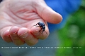 21 06 13_4006_edited-2